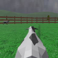 Crazy Cattle 3D + img